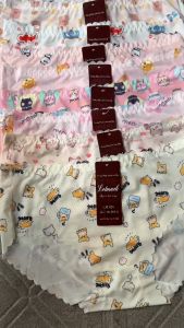 sét 5 quần lót nữ su quần lótquần bikinichất liệu siêu mátêm mền mại 40kg-58kg mã 024