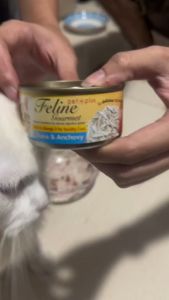 Feline Gourmet 80g All Stages Adult Kitten Cat Wet Food Cat Can Essentials Accessories