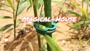 【Ready Stock】Garden Plant Clips Garden Clip for Plant Flower Lever Loop Gripper Clips Fastener Flower Clip Clamp