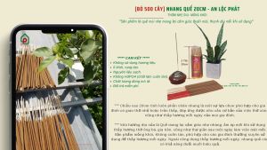 [500 Cây]Nhang Quế 2 Tấc Thơm Nhẹ Dịu Phù Hợp Chung Cư - An Lộc Phát