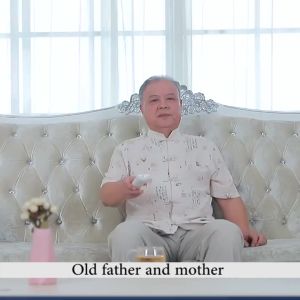 Máy Trợ Thính Không Dây Cho Người Già Và Người Nghe Kém COD