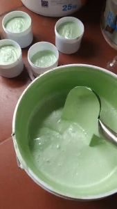 200ml sơn nhũ ngọc trai sơn chậu cảnh chậu kiểng sơn phào chỉ