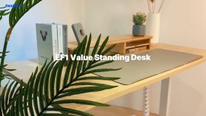 FLEXISPOT Malaysia Value Electric Height Adjustable Sit Stand Table Home Office Standing Desk EF1-Frame Only