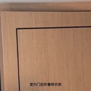 【SG】Foldable Hanger 5-Holes Portable Travel Clothes Hanger Folding Clothes Drying Rack Travel Hangers for Hotel Apartment