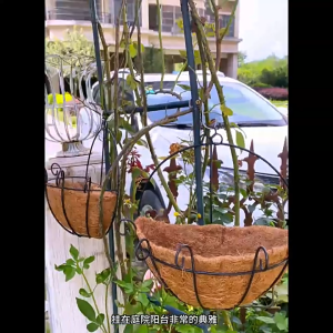 Spring Home กระถาง ใย มะพร้าว ครึ่ง วงกลมพิลาทิส กระถางใยมะพร้าว ตกแต่งระเบียง กระเช้าครึ่งซีก กระถางดอกไม้แขวน ตัวหนา