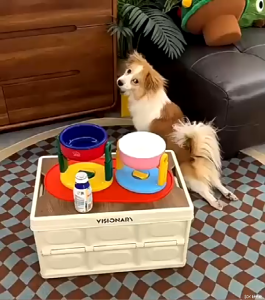 ชามอาหารแมว  ชามอาหารหมา  ชามใส่อาหารสัตว์เลี้ยง ปรับความสูงได้3ระดับ แข็งแรงทนทาน พลาสติกหนา  กันลื่น