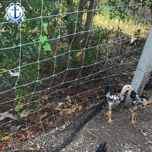 รั้วตาข่ายแบบไล่ระดับราคาถูก