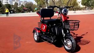 Baru di tahun 2024: Sepeda Roda Tiga Listrik & Sepeda Motor Roda 3 untuk Lansia