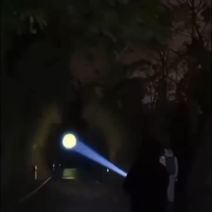 Senter Kepala Mitsuyama Ms-258P 50Watt / Senter Kepala LED MURAH Cahaya Putih / Senter Kepala Anti Air 50W Headlamp LED~NOS