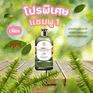 แชมพู พญายอพลูคาว 1ขวด269.-แก้คัน เชื้อรา กลากเกลื้อน ผมร่วง ของแท้จากบริษัท