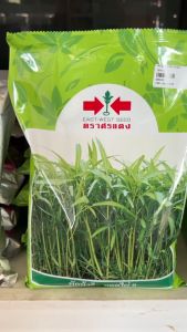 เมล็ดพันธุ์ ผักบุ้งจีน ศรแดง ยอดไผ่ 1 กิโล