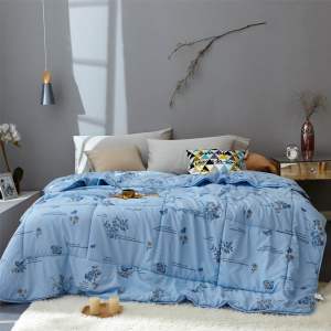 ผ้าห่มขนเป็ดเทียม(Down Duvet)ผ้าห่มไหมญี่ปุ่น 7 ฟุต By ROULISI 🌈ลายดอกไม้เล็กๆ สไตล์วินเทจ(Vintage Style ) ผ้าหนา นุ่มนุ่ม ห่มอุ่นสบาย ระบายอากาศได้ดี