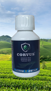 CORVUS 480 SC 100ML – FUNGISIDA SISTEMIK AZOKSISTROBIN DIFENOKONAZOL PIRAKLOSTROBIN