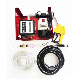 220V 60Hz Self Priming Fuel Transfer Pump Automatic Start Stop High Precision Small Fuel Dispenser Distributor Pump Set