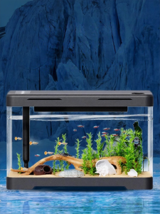 CHONGXIAOSHUAI | 2026 New Eco-Friendly Aquarium Acrylic Table Tank with Cycling Scenery