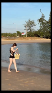 Set Bikini Charli gồm (áo bodysuit + quần sooc) chất liệu ren mềm sang chảnh nhẹ nhàng quyến rũ