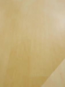 Merach | Silent Home Use Elliptical Machine for Hip Training