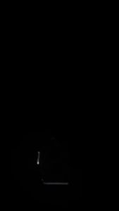 EVERNEXT APPAREL - LANYARD KARTU ID CARD HOLDER NAME TAG KANTOR DOMPET KARTU TAS KALUNG GANTUNG CLEO