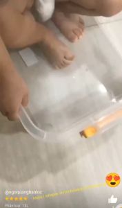 Combo 3 Thùng Nhựa Trong Suốt 15 Lít- Giao Hàng Hoả Tốc 2H TP.HCM - NHỰA DUY TÂN
