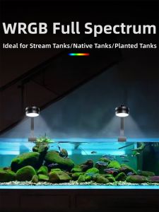 BONADUO | Full Spectrum WRGB Fish Tank Light