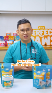 THE PERFECT PAWS 10 IN 1 MULTIVITAMINS CHEW TREATS FOR DOGS