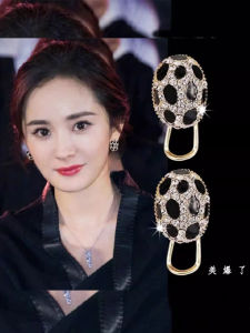 Elegant Black Leopard Print Silver Needle Diamond Drop Earrings Womens Fashion Jewelry Fresh out Handmade Alloy Gemstone