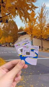 Sim/Esim Du Lịch Hàn Quốc | DATA 1-3GB/ngày Tốc Độ Cao – Sóng Ổn Định Toàn Quốc – Hỗ Trợ Book Xe Check Maps Dễ Dàng Lướt Mạng - Gói Linh Hoạt 1-30 ngày Du Lịch Công Tác | FREESHIP - CHƯA KÍCH HOẠT