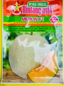 MANTAB Benih Melon MERLIN F1 isi 20 gr dari BINTANG ASIA