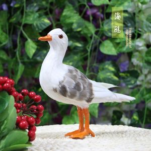 YINXIANGKONGJIAN | Realistic Bird Species Decorative Model