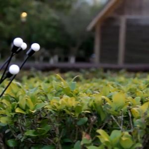 Solar Firefly Lamp Outdoor Waterproof Garden Courtyard Balcony Layout Landscape Atmosphere Ground Insertion Lawn Lamp