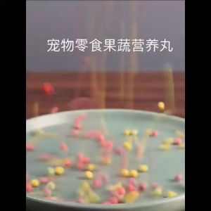 Sugar Glider Fruit and Vegetable Ball Snack 蜜袋鼯果蔬丸