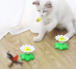 MeowMart Electric Cat Teaser Toy Automatic Rotating Butterfly Bird Interactive Toy Mainan Kucing