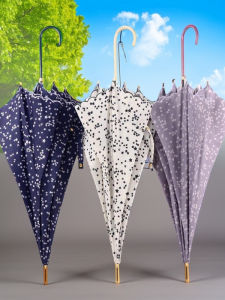 New Style Small Long Umbrella Straight Pole Sunshade Umbrella Resistant to Rain And Sun with Embroidered Five-pointed Star for Women