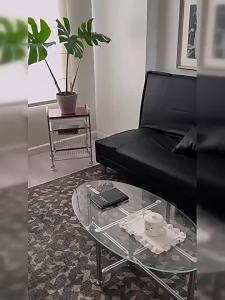 OYIla | Foldable Sofa Bed for Small Spaces