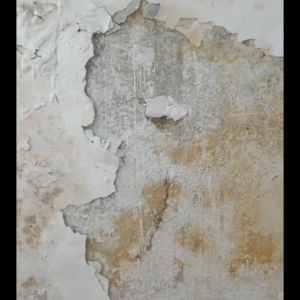 0.35-1.5kg Keo bả sửa chữa tường ẩm cũ bong tróc trám nứt tường vỡ vết bẩn