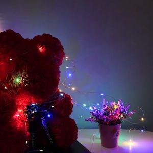 LED 2M 5M 10M Battery Fairy Lights LED Light for Room Christmas Light String Copper Home Curtain Decor Light