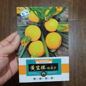 Hạt Giống Bí Ngòi Tròn Vàng Sai Trái hạt giống nhập khẩu