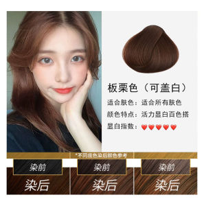 Natural Pure Plant-Based Easy-To-Wash Hair Dye in Trending Black Chestnut Brown Bubble Formula Covers Gray without Staining Scalp