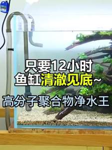 JIAKEMEI | Clearing Water Purifier
