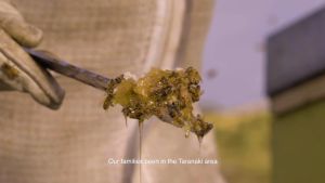 Egmont MGO 85+ Manuka Honey 500g (HALAL)