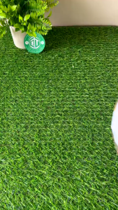 500g 1kg Mướp Gai (Móp Gai) Loại 1 Đức Thiện (Khô Sạch Thơm) - Hỗ Trợ V Gan Xơ Gan Phù Thận B Trĩ Sỏi Thận