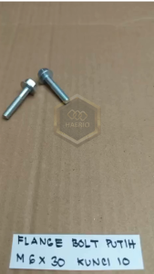 10 BIJI BAUT TOPI KUNCI PAS 10 PANJANG 3CM M6X30 3 CM 16 CM PUTIH 30MM 30 MM BAUD FLANGE BOLT M6 X 30 BAUT 6X30 6 X 30 PITCH DRAT 1.0 SEKRUP SKRUP