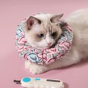 😻กรรไกรตัดเล็บแมว🐶 พร้อมไฟ LED ที่ตัดเล็บแมว กรรไกรตัดเล็บสัตว์เลี้ยง