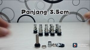 Pentil ban tubeless pentil besi 10 pcs