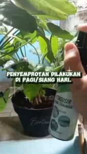 Obat Hama Tanaman Daun dan Buah | Obat Semprot Hama Daun | Pestisida Tanaman (PAKET HEMAT 1 LITER+250ml)