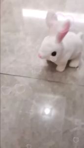 Đồ chơi chú Thỏ Cà Rốt bông biết nhảy biết kêu bibi vẫy tai xinh cho bé - Tặng Pin