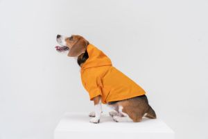 Fashionable Dog Raincoat by Pehom Waterproof Thunderstorm Protector Suitable for All Body Types Pet Cats and Dogs