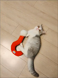 Catnip Toy Plush Cat Chew Crinkle Squeaky Teeth Grinding Indoor Play Gift Use Easy Pet Kitty