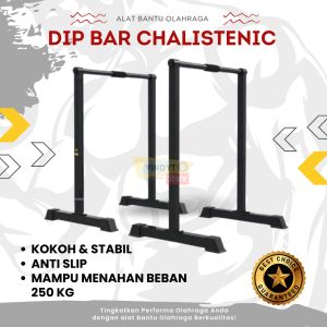 Dip Bar Chalisthenic Dip Bar Exercise Fitnes Home