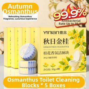 Yinian | Powerful Odor Elimination Fragrant Toilet Cleaner